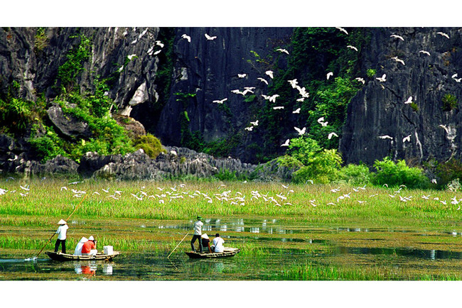 Hanoi - Tam Coc - Thung Nham Bird Watching photo